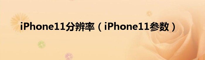 iPhone11分辨率（iPhone11参数）