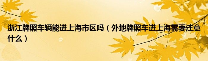 浙江牌照车辆能进上海市区吗（外地牌照车进上海需要注意什么）