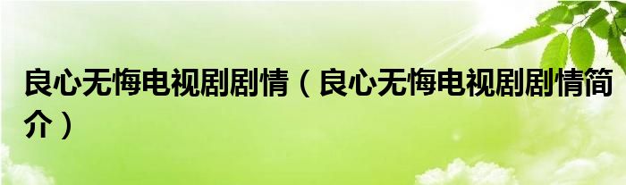 良心无悔电视剧剧情（良心无悔电视剧剧情简介）