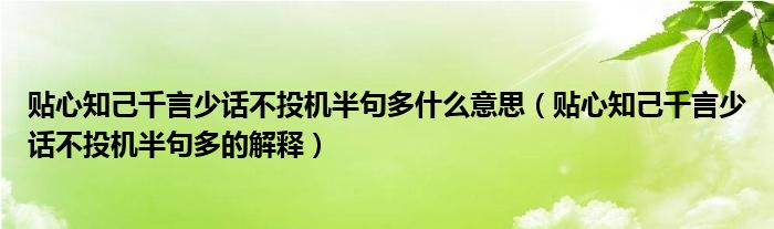 贴心知己千言少话不投机半句多什么意思（贴心知己千言少话不投机半句多的解释）