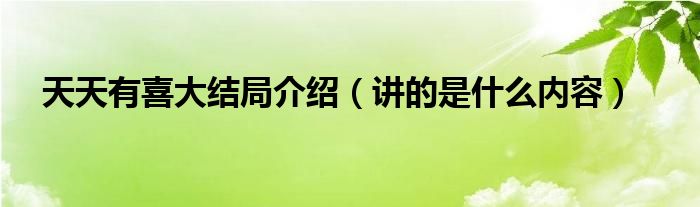 天天有喜大结局介绍（讲的是什么内容）