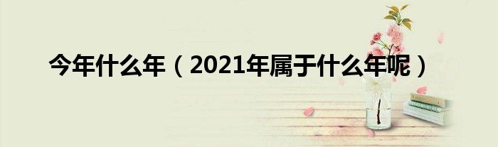 今年什么年（2021年属于什么年呢）