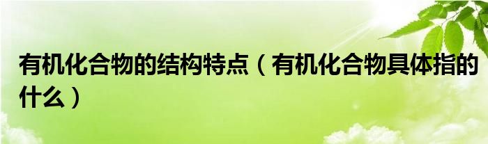 有机化合物的结构特点（有机化合物具体指的什么）