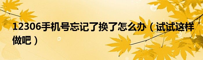 12306手机号忘记了换了怎么办（试试这样做吧）