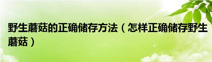 野生蘑菇的正确储存方法（怎样正确储存野生蘑菇）