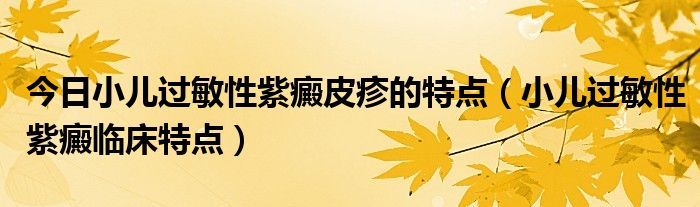 今日小儿过敏性紫癜皮疹的特点（小儿过敏性紫癜临床特点）