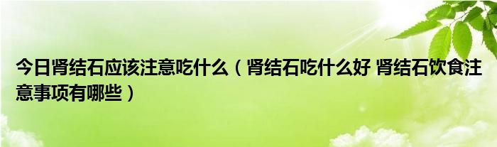 今日肾结石应该注意吃什么（肾结石吃什么好 肾结石饮食注意事项有哪些）