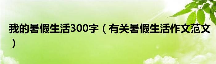 我的暑假生活300字（有关暑假生活作文范文）