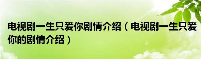 电视剧一生只爱你剧情介绍（电视剧一生只爱你的剧情介绍）