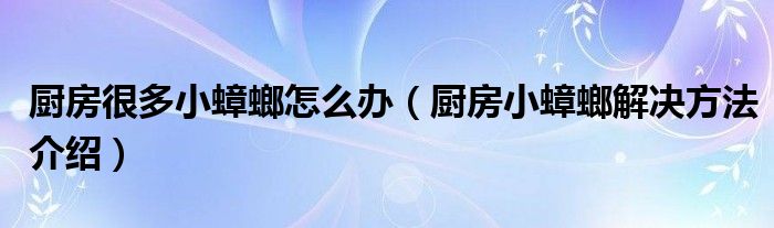 厨房很多小蟑螂怎么办（厨房小蟑螂解决方法介绍）