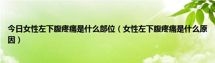 今日女性左下腹疼痛是什么部位（女性左下腹疼痛是什么原因）