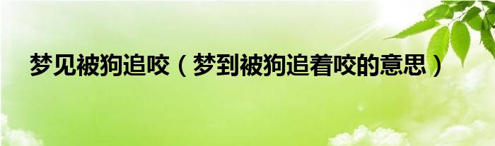 梦见被狗追咬（梦到被狗追着咬的意思）