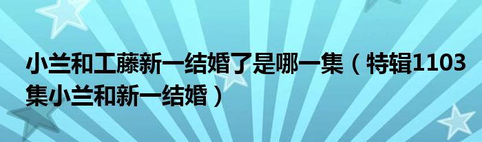 小兰和工藤新一结婚了是哪一集（特辑1103集小兰和新一结婚）