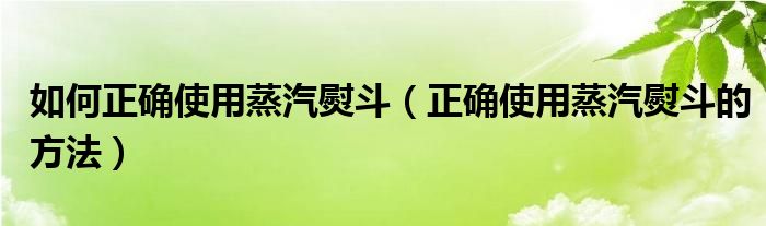 如何正确使用蒸汽熨斗（正确使用蒸汽熨斗的方法）