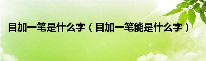 目加一笔是什么字（目加一笔能是什么字）