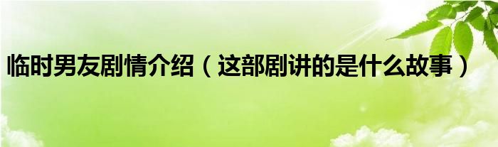 临时男友剧情介绍（这部剧讲的是什么故事）