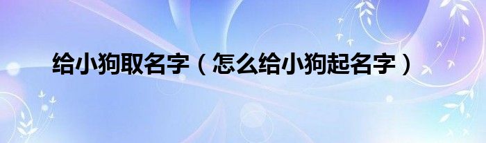 给小狗取名字（怎么给小狗起名字）