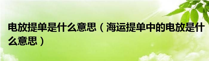 电放提单是什么意思（海运提单中的电放是什么意思）