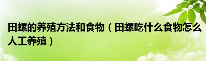 田螺的养殖方法和食物（田螺吃什么食物怎么人工养殖）