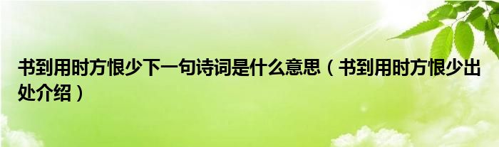 书到用时方恨少下一句诗词是什么意思（书到用时方恨少出处介绍）