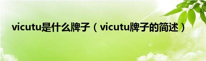 vicutu是什么牌子（vicutu牌子的简述）