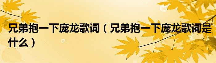 兄弟抱一下庞龙歌词（兄弟抱一下庞龙歌词是什么）