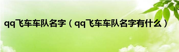 qq飞车车队名字（qq飞车车队名字有什么）