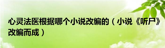 心灵法医根据哪个小说改编的（小说《听尸》改编而成）