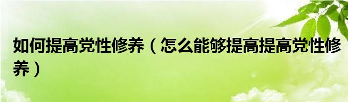 如何提高党性修养（怎么能够提高提高党性修养）