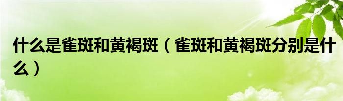 什么是雀斑和黄褐斑（雀斑和黄褐斑分别是什么）