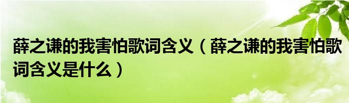 薛之谦的我害怕歌词含义（薛之谦的我害怕歌词含义是什么）