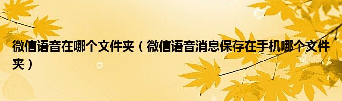 微信语音在哪个文件夹（微信语音消息保存在手机哪个文件夹）