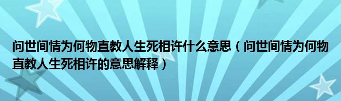 问世间情为何物直教人生死相许什么意思（问世间情为何物直教人生死相许的意思解释）