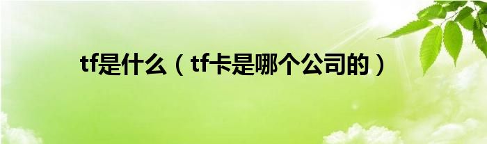 tf是什么（tf卡是哪个公司的）