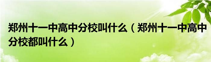 郑州十一中高中分校叫什么（郑州十一中高中分校都叫什么）