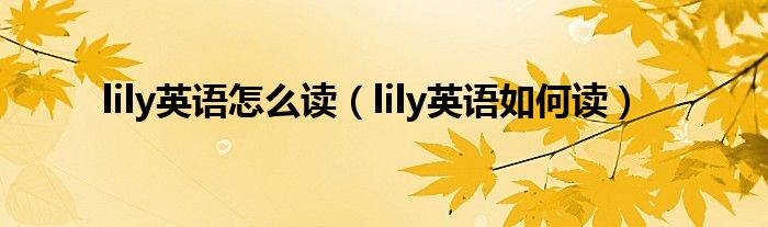 lily英语怎么读（lily英语如何读）