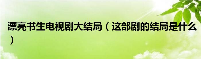 漂亮书生电视剧大结局（这部剧的结局是什么）