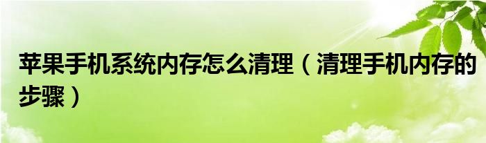 苹果手机系统内存怎么清理（清理手机内存的步骤）