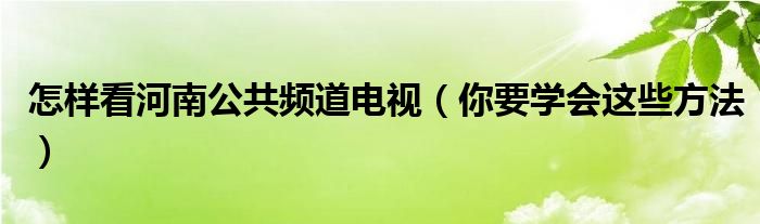 怎样看河南公共频道电视（你要学会这些方法）