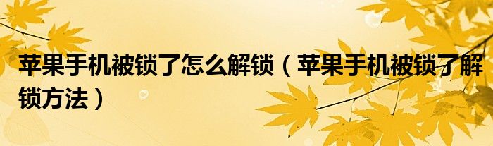 苹果手机被锁了怎么解锁（苹果手机被锁了解锁方法）