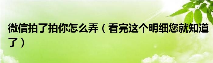 微信拍了拍你怎么弄（看完这个明细您就知道了）