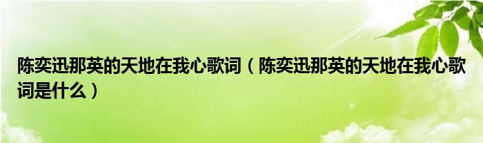 陈奕迅那英的天地在我心歌词（陈奕迅那英的天地在我心歌词是什么）