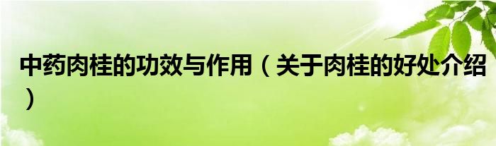 中药肉桂的功效与作用（关于肉桂的好处介绍）