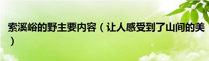 索溪峪的野主要内容（让人感受到了山间的美）