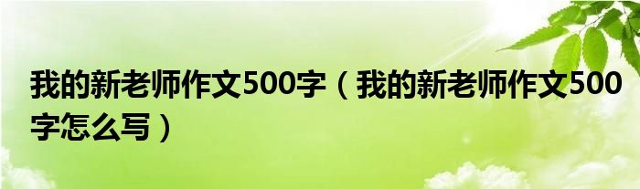 我的新老师作文500字（我的新老师作文500字怎么写）