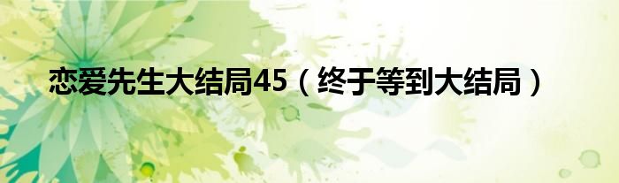 恋爱先生大结局45（终于等到大结局）