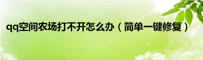 qq空间农场打不开怎么办（简单一键修复）