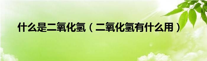 什么是二氧化氢（二氧化氢有什么用）