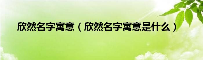 欣然名字寓意（欣然名字寓意是什么）