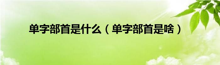 单字部首是什么（单字部首是啥）